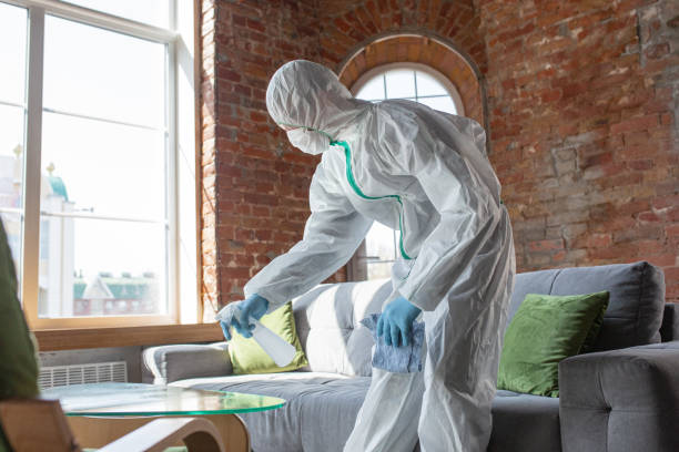 Why You Should Choose Our Mold Remediation Services in Neptune City, NJ